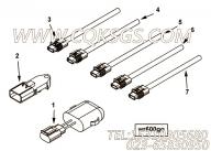 【ETR CNT MDL WRG线束】康明斯CUMMINS柴油机的4927575 ETR CNT MDL WRG线束