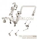 【线束】康明斯CUMMINS柴油机的4895956 线束