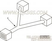 【线束】康明斯CUMMINS柴油机的4019798 线束