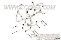 【ETR CNT MDL WRG线束】康明斯CUMMINS柴油机的4946244 ETR CNT MDL WRG线束