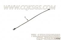 【ETR CNT MDL WRG线束】康明斯CUMMINS柴油机的5263087 ETR CNT MDL WRG线束