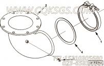【排气钳密封】康明斯CUMMINS柴油机的4019672 排气钳密封