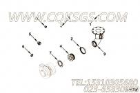 【六角头螺栓】康明斯CUMMINS柴油机的3637027 六角头螺栓