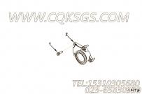 【排气口连接】康明斯CUMMINS柴油机的3999656 排气口连接