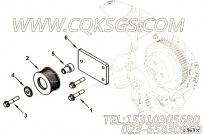 【惰轮】康明斯CUMMINS柴油机的3926900 惰轮
