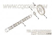 【凸轮轴】康明斯CUMMINS柴油机的3005822 凸轮轴