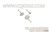 【阳性接头】康明斯CUMMINS柴油机的3283818 阳性接头