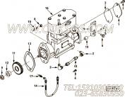 【阳性接头】康明斯CUMMINS柴油机的3921555 阳性接头