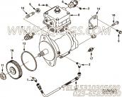 【阳性接头】康明斯CUMMINS柴油机的3280988 阳性接头