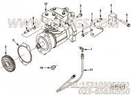 【发动机CL285 40的基本燃油泵组】 康明斯弯管接头体总成报价,参数及图片