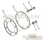 【支持垫片】康明斯CUMMINS柴油机的3252259 支持垫片