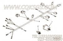 【线束】康明斯CUMMINS柴油机的3050696 线束