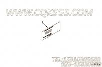 【铭牌】康明斯CUMMINS柴油机的3286894 铭牌