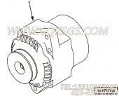 【充电机】康明斯CUMMINS柴油机的C6008613610 充电机