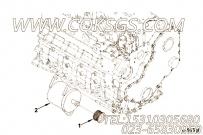 【充电机】康明斯CUMMINS柴油机的2875040 充电机