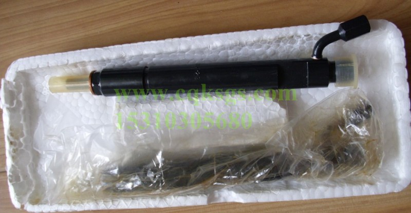 喷油器总成
